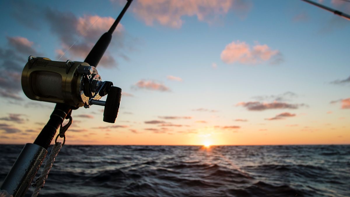 Pêcher en mer